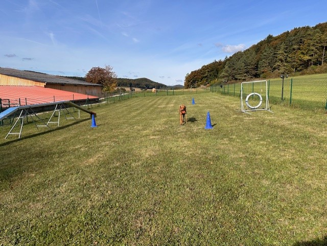 Hundeschule
